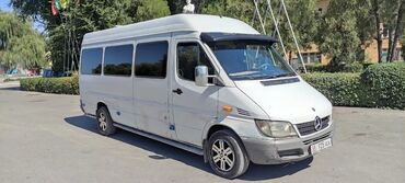 Mercedes-Benz: Mercedes-Benz Sprinter: 2002 г., 2.9 л, Механика, Дизель, Бус