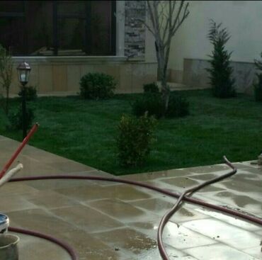 Toxumlar: Enli yarpağ Danimarka novü qazon ları bizdən əldedə bilərsiniz — 7