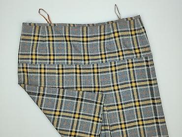 Skirts: Women`s skirt, size 6XL at lalafo.pl — 1 Skirts: Women`s skirt, size 6XL — 1