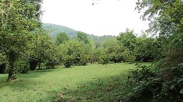 Torpaq sahələrinin satışı: 17 sot, Tikinti, Mülkiyyətçi, Kupça (Çıxarış) -da lalafo.az — 12 Torpaq sahələrinin satışı: 17 sot, Tikinti, Mülkiyyətçi, Kupça (Çıxarış) — 12