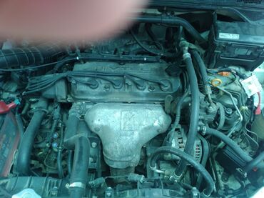 стекло на одиссей: Honda Odyssey: 2002 г., 2.3 л, Типтроник, Бензин, Минивэн