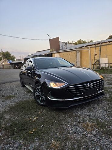 шины на сонату: Hyundai Sonata: 2019 г., 2 л, Автомат, Газ, Седан