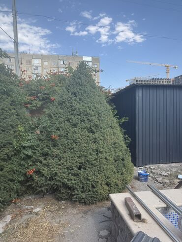 все для дома и сада: Декор для дома и сада, Самовывоз