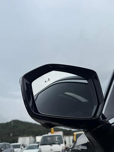 Hyundai: Hyundai Palisade: 2019 г., 2.2 л, Автомат, Дизель, Кроссовер — 17