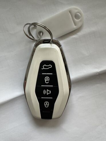 Ключи: Автомобильные ключи: BMW X5, KIA sportage, Suzuki, Lexus ES, Hyundai — 15