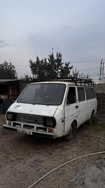 горный машина: RAF : 1990 г., Механика, Бензин, Бус — 1