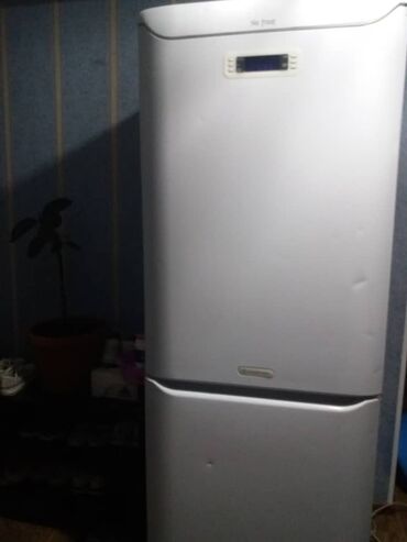 бу холодилник ош: Муздаткыч Колдонулган, Эки камералуу