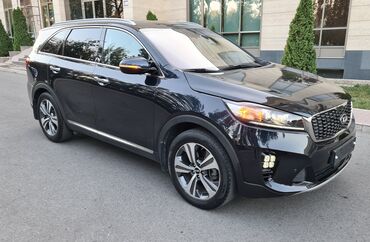 боковое: Kia Sorento: 2017 г., 2.2 л, Автомат, Дизель, Кроссовер