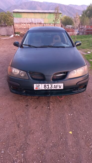 ниссан марч в аренду: Nissan Almera: 2001 г., 1.8 л, Механика, Бензин, Седан