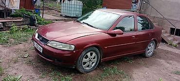 Opel: Opel Vectra: 2001 г., Механика, Бензин, Седан — 1