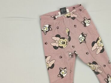 Legginsy: Legginsy, Fox&Bunny, 9-12 miesięcy, stan - Bardzo dobry