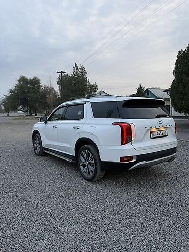 Hyundai: Hyundai Palisade: 2020 г., 2.2 л, Автомат, Дизель, Кроссовер — 6