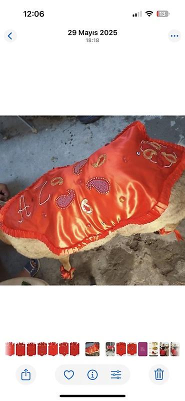 saxta baba geyimi: Qurbanlıq heyvan üçün bəzək dəsti – qırmızı rəngdə Məhsulun tərkibi — 5
