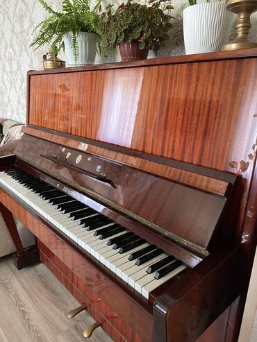 Пианино: Продам Пианино Беларусь
В идеальном состоянии — 6