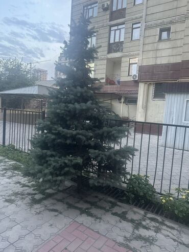 Двуспальные кровати: 🏠 Сдаётся 4-комнатная квартира в центре города на долгий срок ✨ — 10