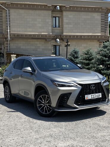 лампа для машины: Lexus NX: 2022 г., 2.5 л, Автомат, Бензин, Кроссовер