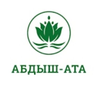 помощник для косметолог: Талап кылынат Айдоочу-экспедитор, Өз унаасы менен, 1-2-жылдык тажрыйба, ГСМ компенсациялоо, Толук жумуш күнү, Эркек