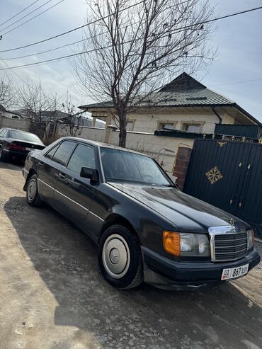 Mercedes-Benz: Mercedes-Benz W124: 1991 г., 2 л, Механика, Бензин