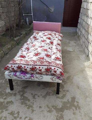 velo home: Kravat taza — 1