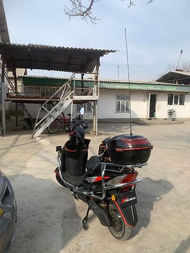 Скутеры: Скутер Skillmax, черный, с богатым комплектом освещения и туристским — 19