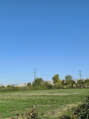 Torpaq sahələrinin satışı: 100 sot, Kənd təsərrüfatı, Kupça (Çıxarış) -da lalafo.az — 9 Torpaq sahələrinin satışı: 100 sot, Kənd təsərrüfatı, Kupça (Çıxarış) — 9