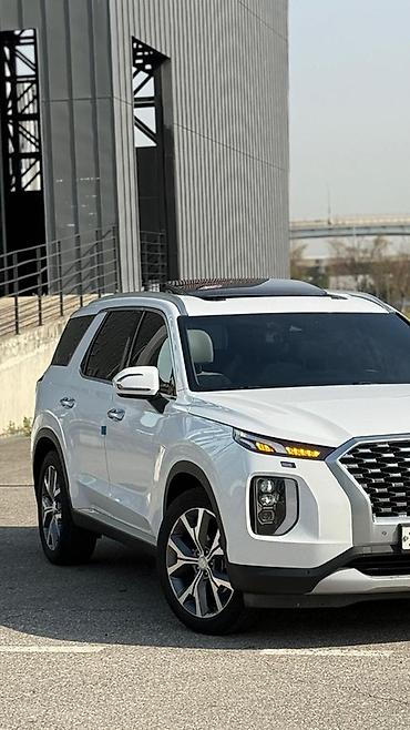 palisade 2019: Hyundai Palisade: 2019 г., Автомат, Дизель, Кроссовер — 5