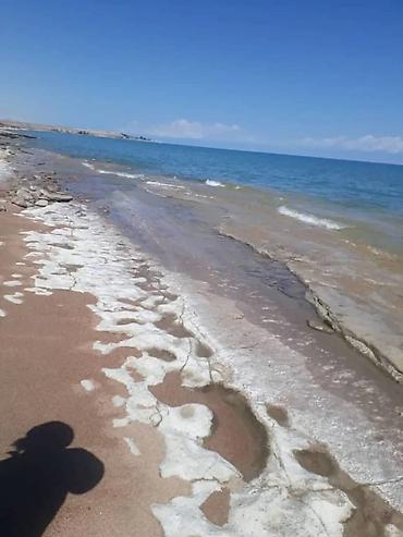 Недвижимость: 100 соток, Для бизнеса, Тех паспорт — 5