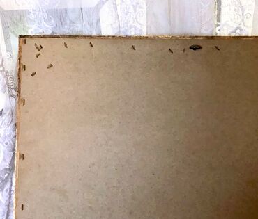 Gobleni: Goblen, Upotrebljenо, Pokupiti na licu mesta — 7