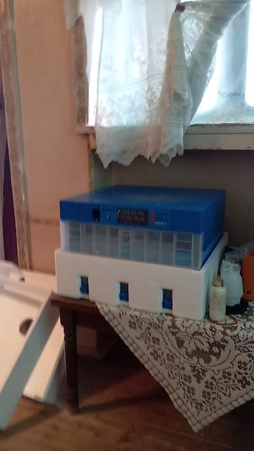 printer l3150 epson: Yendi alinib istifade olmayib 250 Azn tecili satilir isteyen elaqe — 2