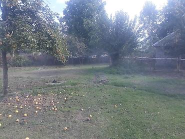 Torpaq sahələrinin satışı: 40 sot, Tikinti, Mülkiyyətçi, Kupça (Çıxarış) — 18