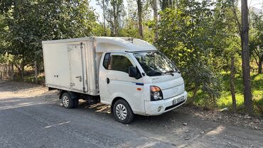 дополнительное освещение на авто: Легкий грузовик, Hyundai, Стандарт, Б/у