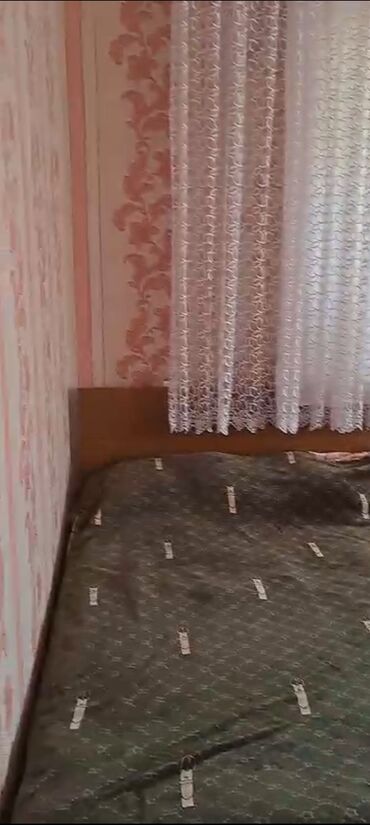 Torpaq sahələrinin satışı: 50 sot, Kənd təsərrüfatı — 16