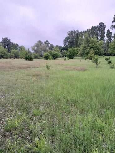 Torpaq sahələrinin satışı: 75 sot, Tikinti, Maklerlər narahat etməsin, Kupça (Çıxarış) -da lalafo.az — 17 Torpaq sahələrinin satışı: 75 sot, Tikinti, Maklerlər narahat etməsin, Kupça (Çıxarış) — 17