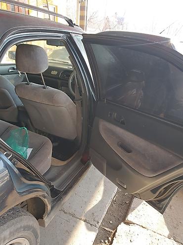 Транспорт: Honda Accord: 1995 г., 2.2 л, Автомат, Бензин, Универсал — 5