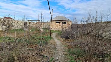 sabranda: 2 otaqlı, 25 kv. m, Yeni təmirli — 5
