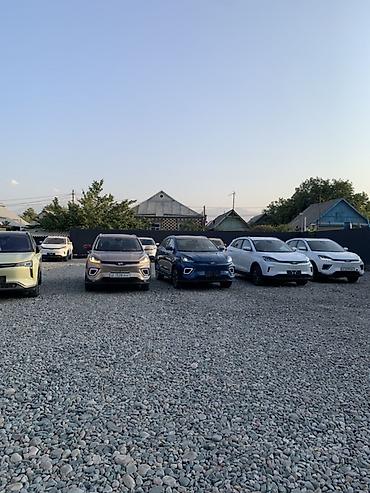 Другие аксессуары внешнего декора: Линейка кроссоверов (на фото — несколько экземпляров одного семейства) — 6