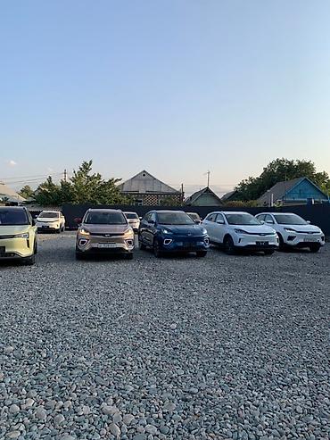 Другие автомобили: Электромобили Leapmotor C11 (кроссоверы) — парк автомобилей в наличии — 2