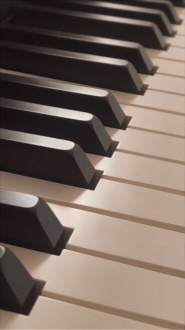 цифровое пианино купить недорого: Купим пианино в рассрочку