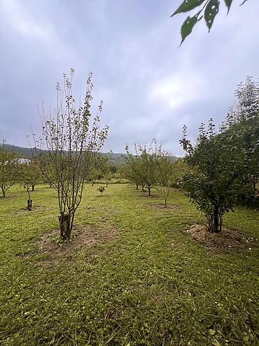 pirallahıda evlər: Tikinti — 1