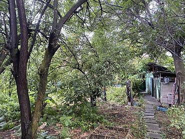Продажа дачи: 5 комнат, 100 м², 10 соток, Холодная вода, Электричество at lalafo.kg — 12 Продажа дачи: 5 комнат, 100 м², 10 соток, Холодная вода, Электричество — 12