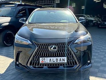 alba: Lexus NX: 2023 г., 0.4 л, Автомат, Бензин, Внедорожник — 2