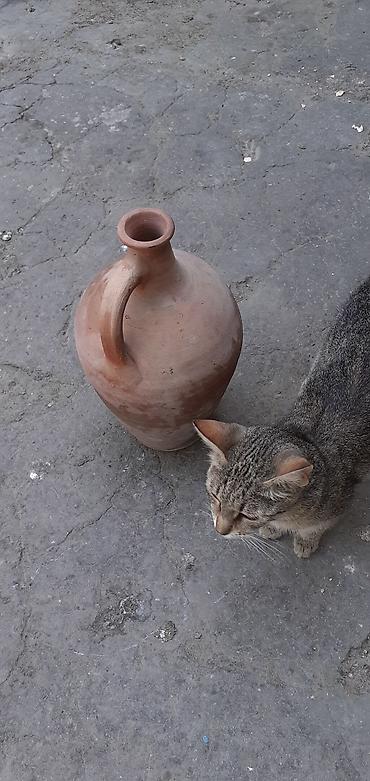 Rəng - Qəhvəyi, Keramika, 1, 2,5 bucket volume l, Azərbaycan