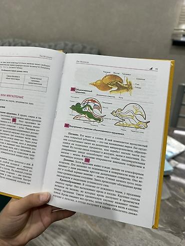 слив школь: Учебник «Биология. Животные. 7–8»
Абсолютно новый и качественный! — 2