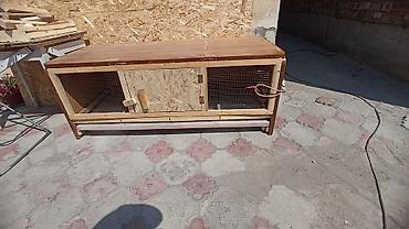 Зоотовары: Брудер для цыплят. универсальный Брудер жожого бодоного коенго хомяка at lalafo.kg — 14 Зоотовары: Брудер для цыплят. универсальный Брудер жожого бодоного коенго хомяка — 14