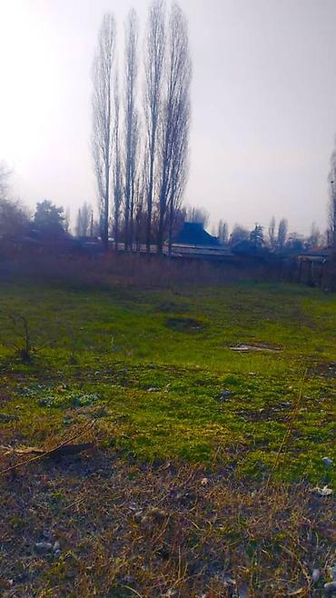 Продажа коттеджей и домов: Продаётся жилой дом с приусадебным участком. - Одноэтажный дом из — 10