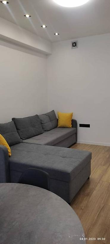 Долгосрочная аренда квартир: 2 комнаты, Агентство недвижимости, Без подселения, С мебелью полностью — 3