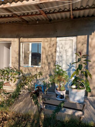 Bağ evlərinin satışı: Bakı, Qala qəs., 550 kv. m, 3 otaqlı, Hovuzsuz, Artezian quyusu, Qaz, Su — 14