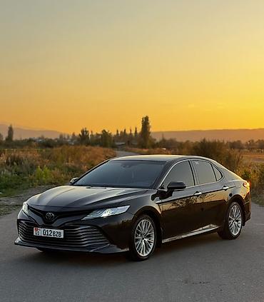 задние фонари камри 70: Toyota Camry: 2019 г., 2.5 л, Вариатор, Гибрид, Седан — 1