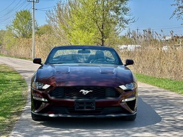 матор для лодки: Ford Mustang: 2018 г., 2.3 л, Автомат, Бензин, Кабриолет