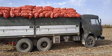 Грузовики: Грузовик, Камаз, Стандарт, 7 т, Б/у — 23